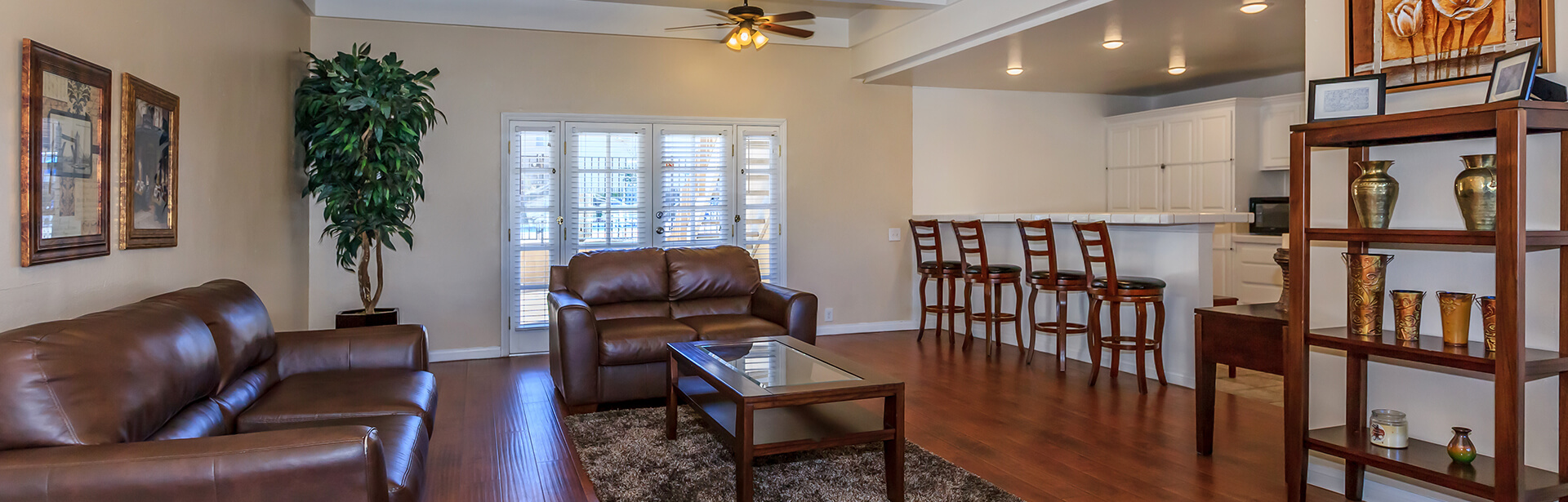 vista apartments rent